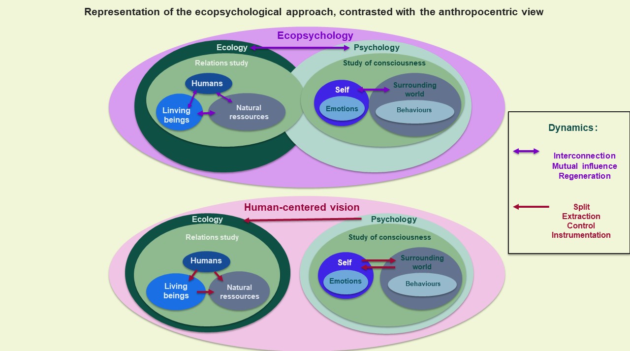 Representation of the ecopsychological approach, contrasted with the anthropocentric view.